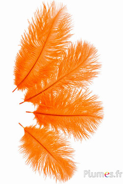 Struzzo - 13-18 cm - arancioni